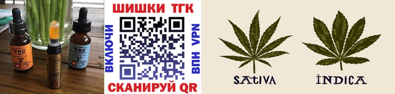 Cannafood конопля  продажа наркотиков  Шенкурск 