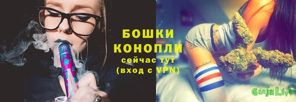 прущие грибы Пересвет