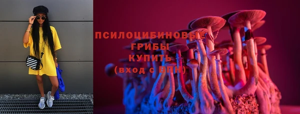бошки Переславль-Залесский