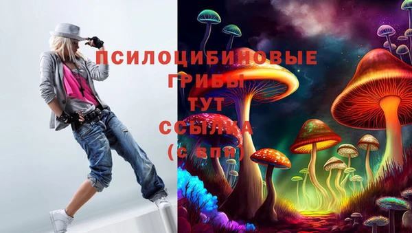 прущие грибы Пересвет