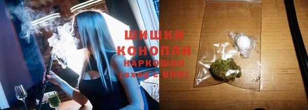 прущие грибы Пересвет