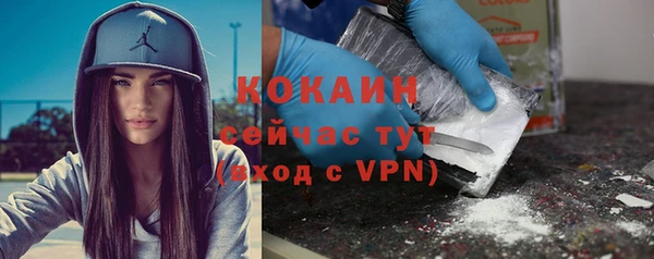 прущие грибы Пересвет
