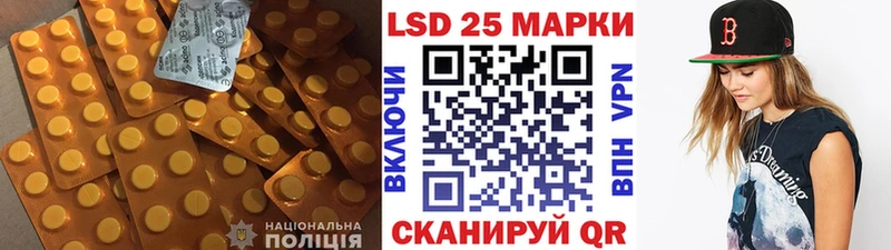 ЛСД экстази ecstasy  Шенкурск 